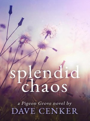 cover image of Splendid Chaos